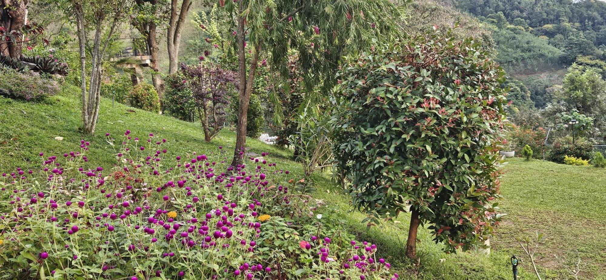 Sithara Estate Bungalow Ела Екстериор снимка
