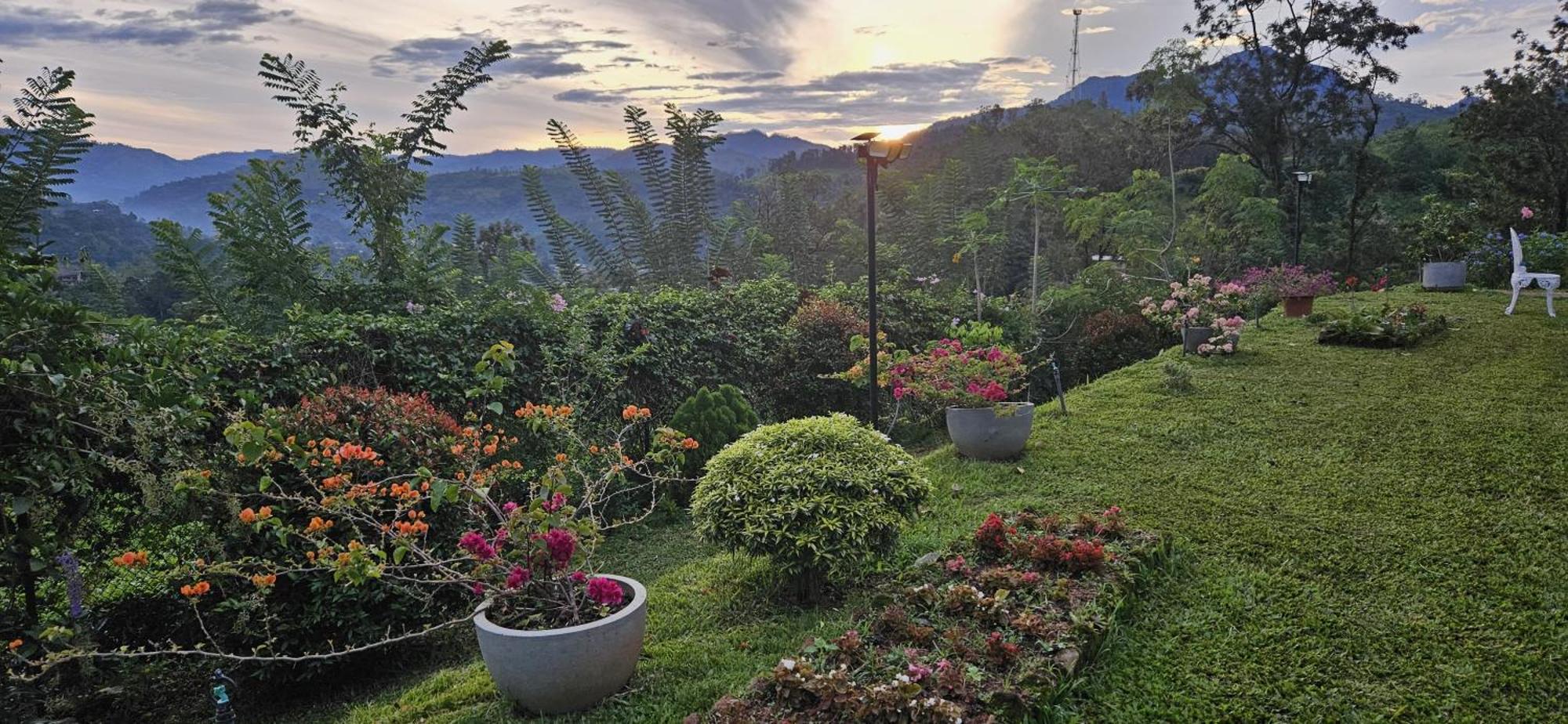 Sithara Estate Bungalow Ела Екстериор снимка