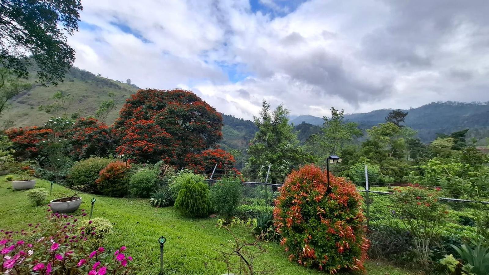 Sithara Estate Bungalow Ела Екстериор снимка