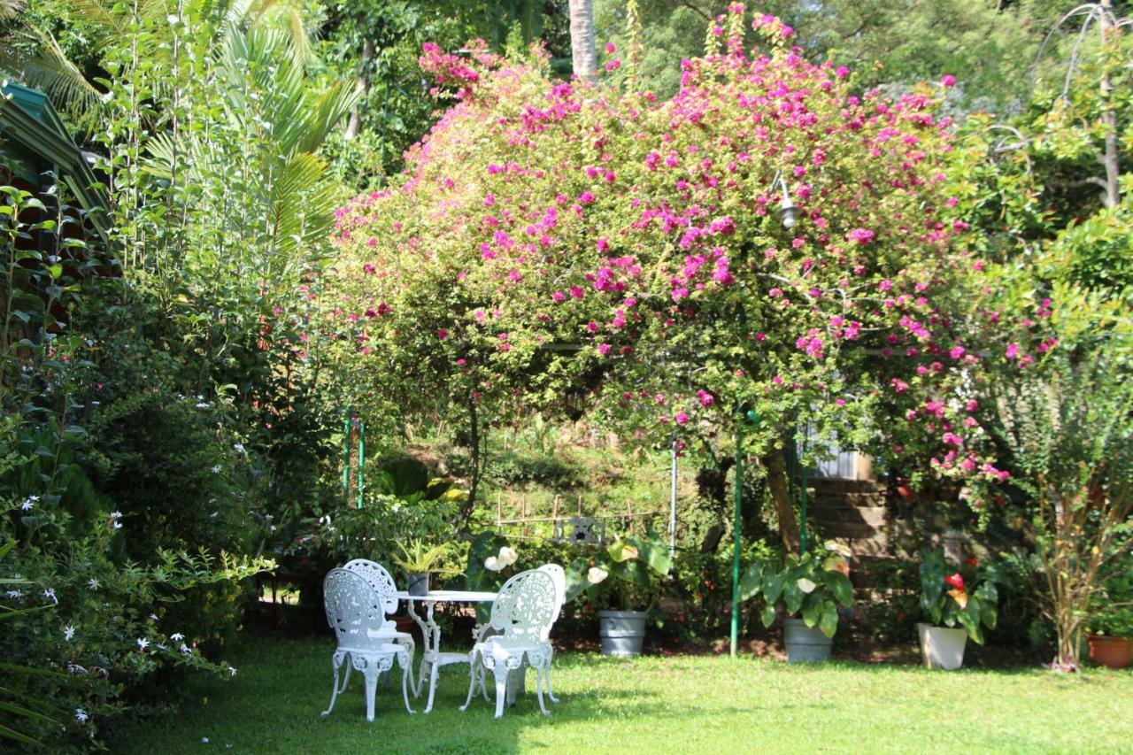 Sithara Estate Bungalow Ела Екстериор снимка